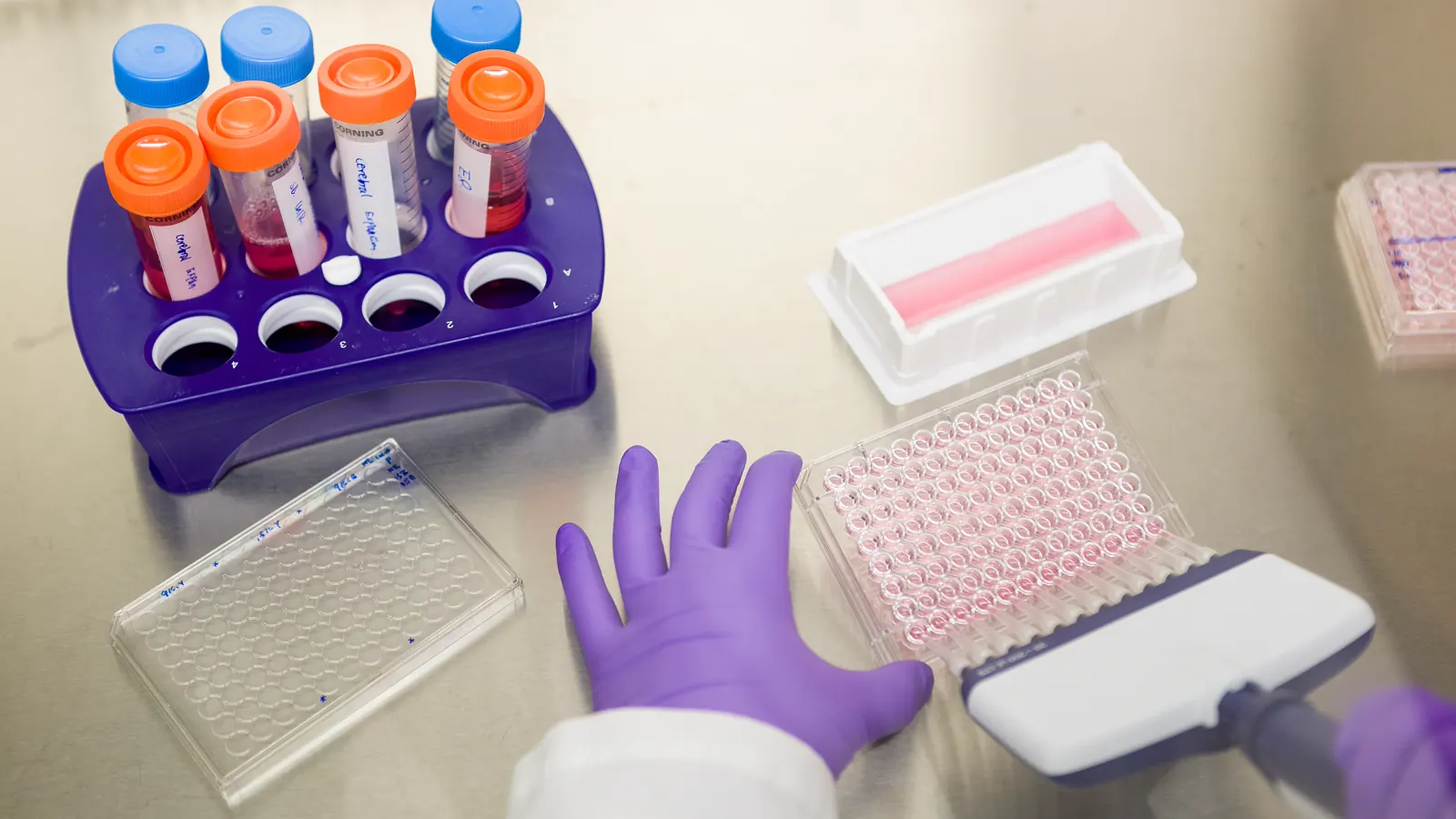 Gloved hand working with capped sample vials in a rack beside a microplate at a laboratory bench