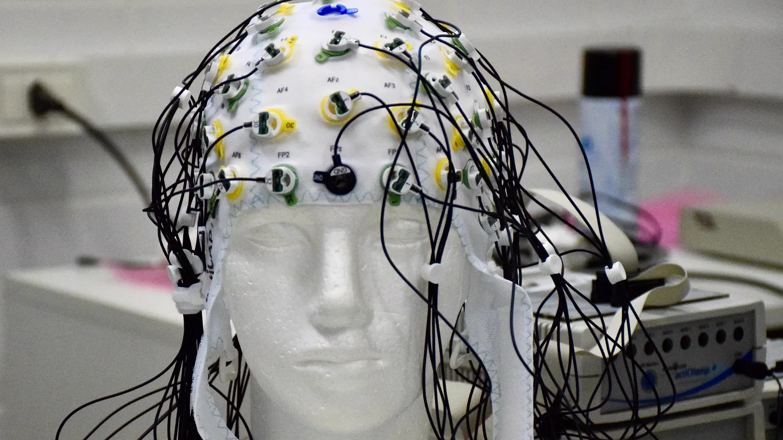 EEG electrode cap fitted on a mannequin head, the recording method used in DSIP sleep research