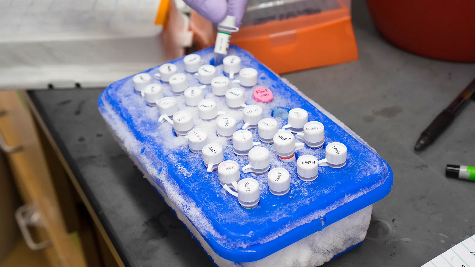 Gloved hand taking a tube from a frosted benchtop cooler, the cold handling used when storing peptides